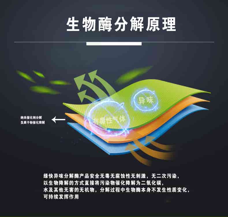 生物酶分解原理，綠快異味分解酶產(chǎn)品安全無毒無腐蝕性無刺激，無二次污染，以生物降解的方式直接將污染物催化降解為二氧化碳，水及其他無害的無機物，分解過程中生物酶本身不發(fā)生性質(zhì)變化，可持續(xù)發(fā)揮作用